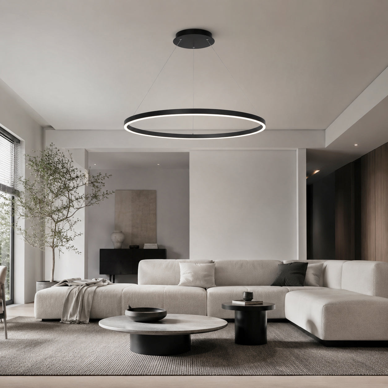 Aurora Ring Pendant Lamp 1